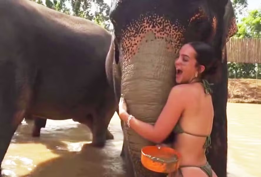 Mel Maia vive aventura na Tailândia com namorado e interage com elefantes