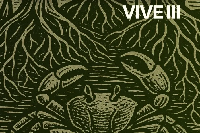 Projeto Mangue Vive chega à 3ª Edição com ações de preservação e cultura em Maceió
